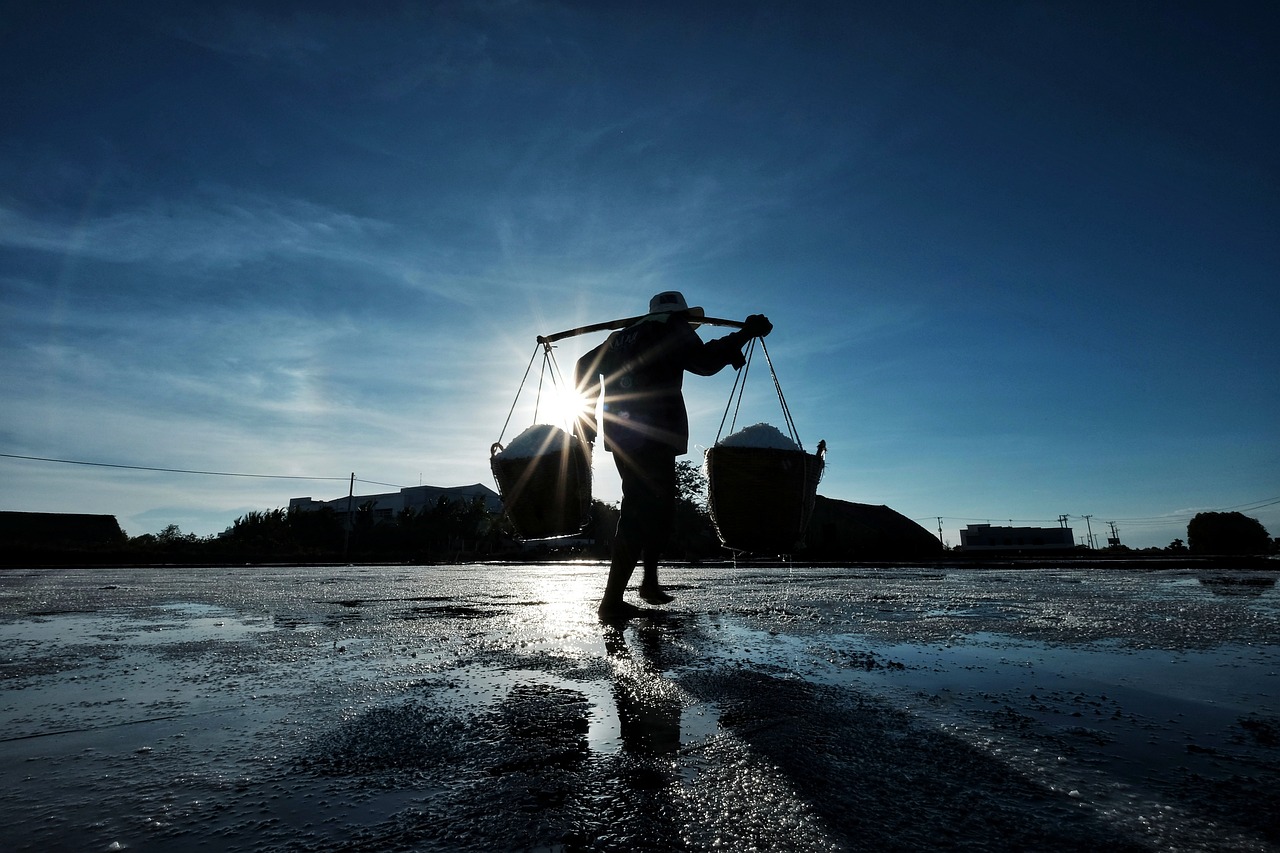 découvrez les meilleures opportunités de carrière qui s'offrent à vous. explorez des offres d'emploi variées dans divers secteurs et trouvez le poste idéal qui correspond à vos compétences et aspirations. ne manquez pas votre chance de faire avancer votre carrière !