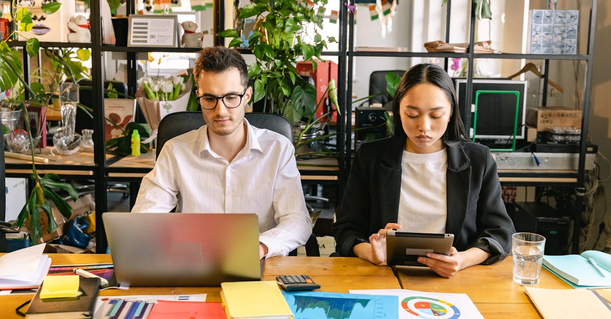 découvrez les principes de l'entrepreneuriat durable : allier rentabilité économique, responsabilité sociale et protection de l'environnement pour bâtir des entreprises innovantes et durables.