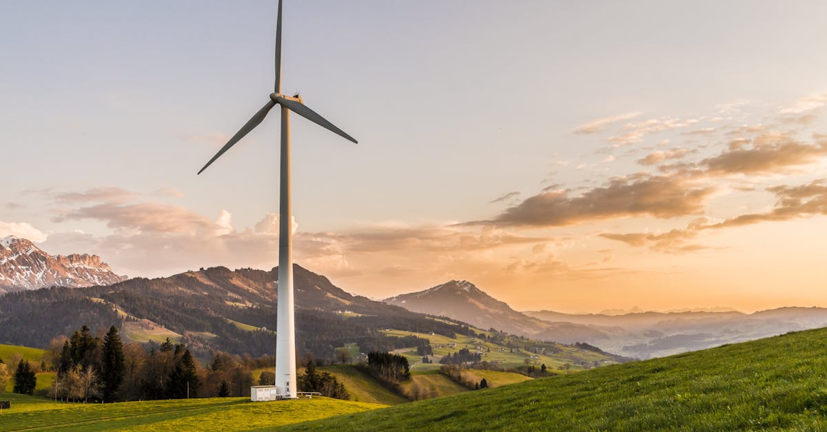 découvrez comment le développement durable façonne un avenir meilleur pour notre planète. explorez des stratégies innovantes et des pratiques responsables pour concilier croissance économique, protection de l'environnement et équité sociale.